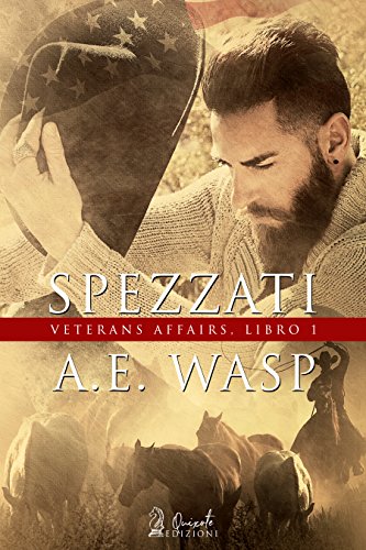 Spezzati di A.E. Wasp 1 A Veteran Affairs