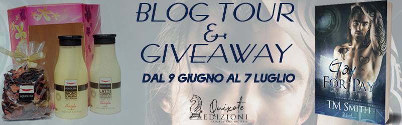 Blog Tour Giveaway – Gay for Pay di T.M. Smith All Cocks stories feel the book