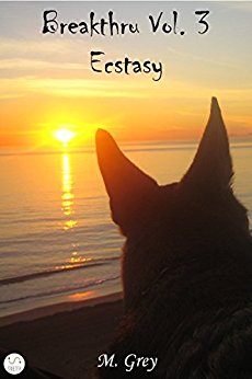 Breakthru Vol3 Ecstasy mick Grey Feelthebook