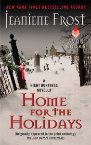 Home for the Holidays feel the book