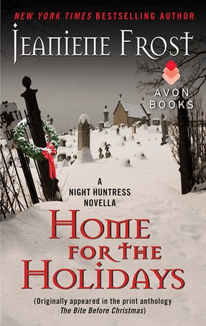 Home for the Holidays feel the book