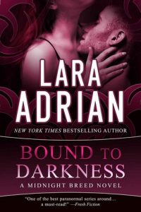 cover Bound to Darkness feel the book