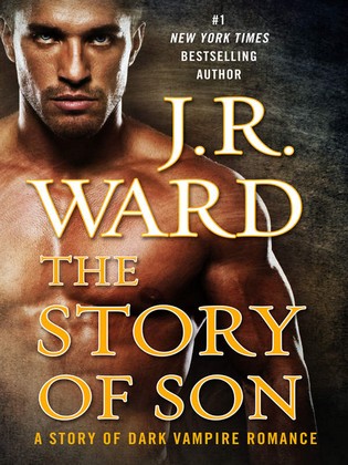 cover the story of son feel the book