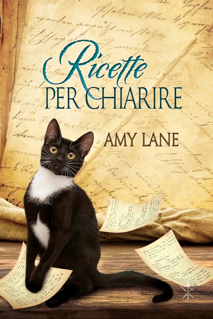 Ricette per chiarire di Amy Lane Un romanzo della serie Il curioso ricettario di Nonna B feel the book