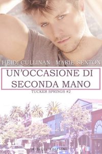 Un'occasione di seconda mano di Heidi Cullinan e Marie Sexton 2 Tucker Springs feel the book