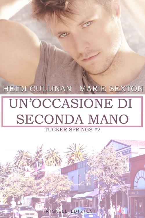 Un’occasione di seconda mano di Heidi Cullinan e Marie Sexton 2 Tucker Springs feel the book