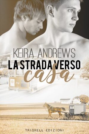 La strada verso casa di Keira Andrews (3 Gay Amish) feel the book