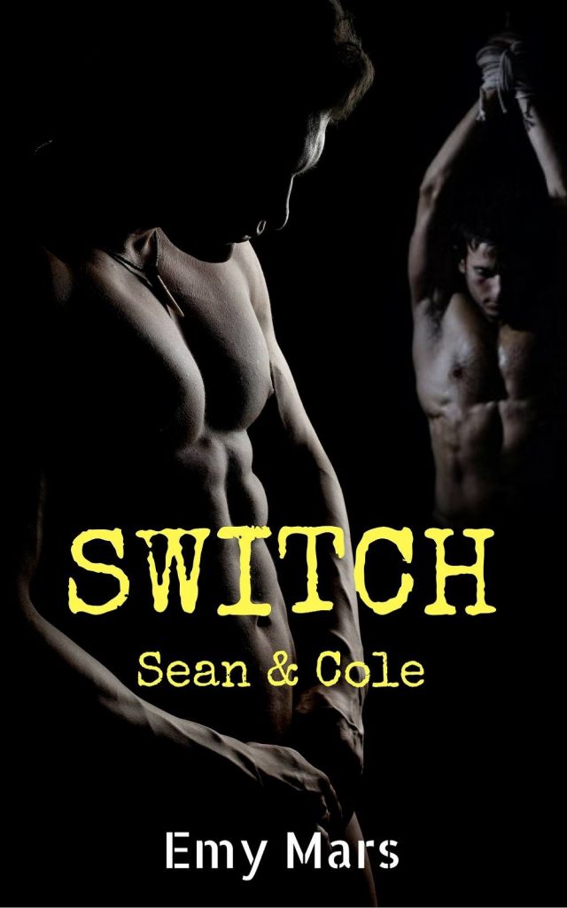 Switch – Sean & Cole di Emy Mars (3 Dungeon) feel the book