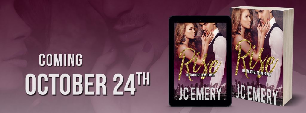 banner cover reveal rise feel the book