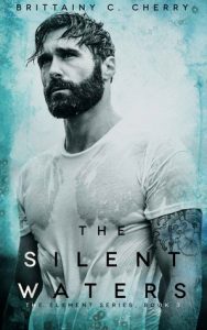 cover The Silent Waters feel the book