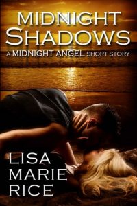 cover midnight shadows feel the book