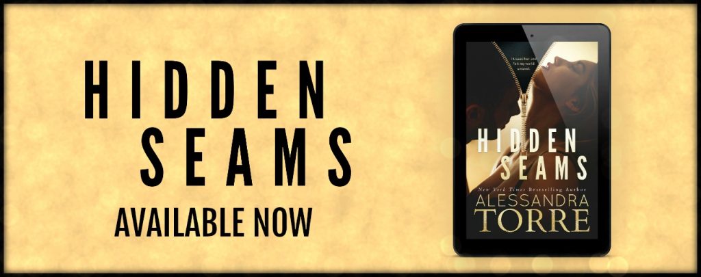 hidden seams Available Now Banner feel the book