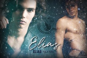 Elias - Erin E. Keller - Elias - feel the book