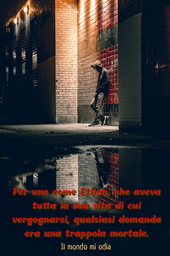 Il mondo mi odia - Elena Sole Vismara - teaser - feel the book
