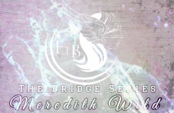 serie bridge meredith wild feel the book