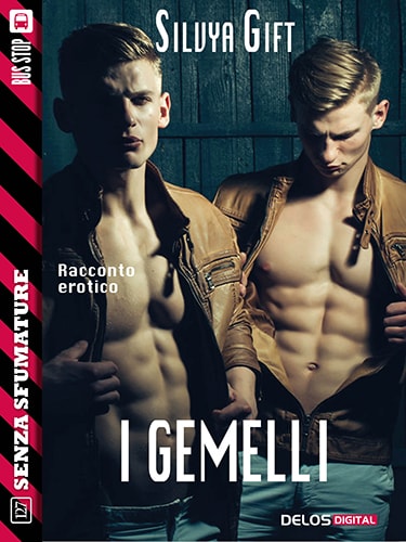 I Gemelli – Silvya Gift – feel the book