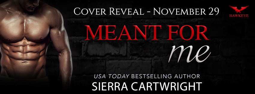 Meant For Me banner reveal feel the book