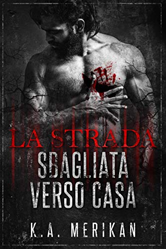 La strada sbagliata verso casa di K.A. Merikan
