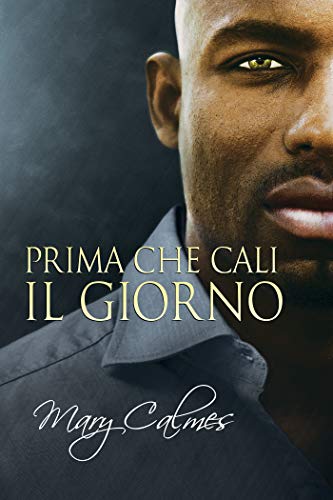 Prima che cali il giorno di Mary Calmes (2 The Vault, La Volta)