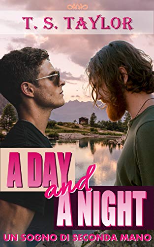 A day and a night. Un sogno di seconda mano di T.S. Taylor (3 California)