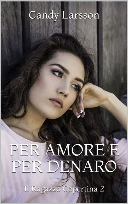 Per amore e per denaro di Candy Larsson (2 Il Ragazzo Copertina)
