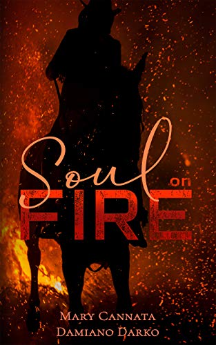 Soul on fire Feel The Book