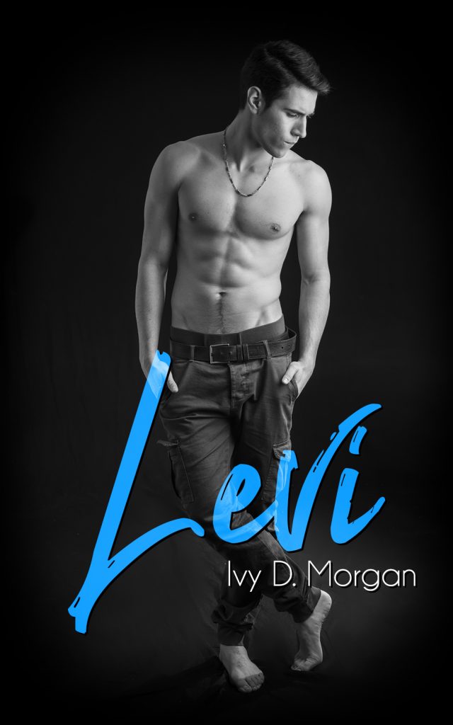 cover Levi Feel the Book