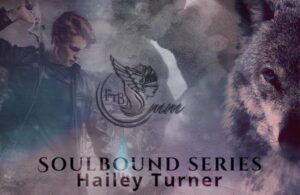 Hailey Turner - Soulbound - review