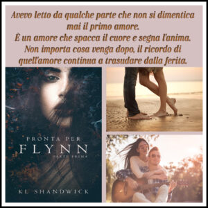 Pronta Per Flynn" di K.L. Shandwick (#1 Ready for Flynn banner