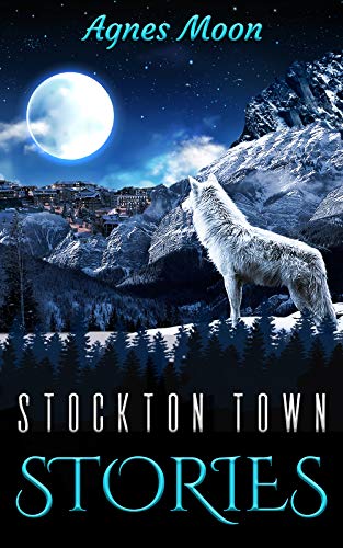 Stockton Town Stories di Agnes Moon (paesaggio con montagne innevate e luna piena, in primo piano un lupo bianco