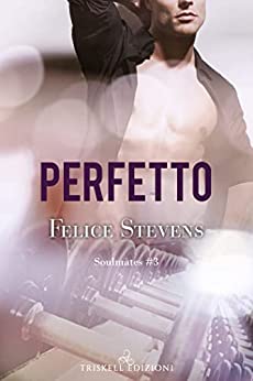 Perfetto Felice Stevens Feel the book